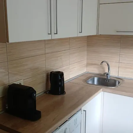 Zalinieku 40b -7 Apartment *