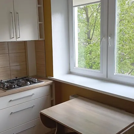 Zalinieku 40b -7 Apartment *